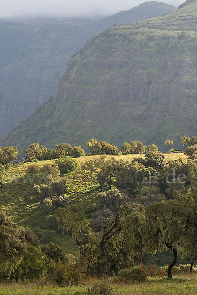 Aethiopien (Ethiopia)