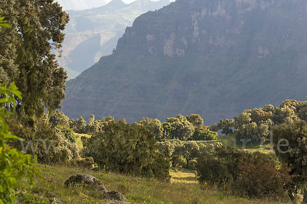 Aethiopien (Ethiopia)