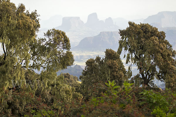 Aethiopien (Ethiopia)