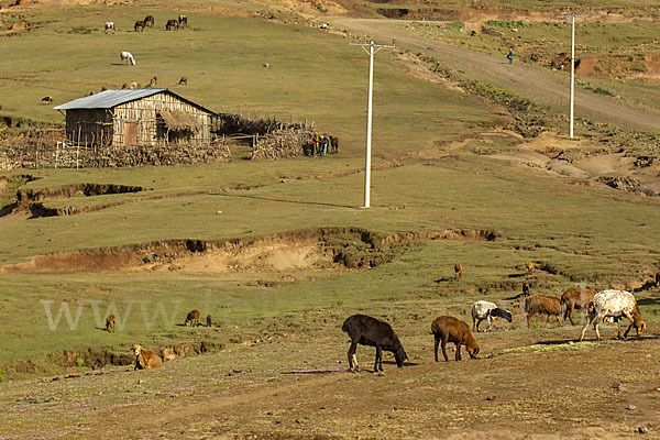 Aethiopien (Ethiopia)