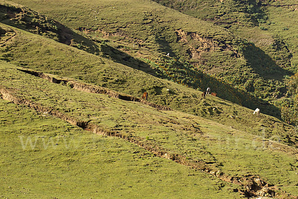 Aethiopien (Ethiopia)