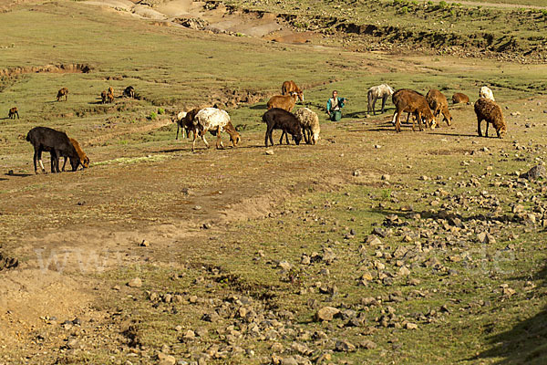 Aethiopien (Ethiopia)