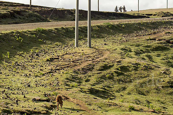 Aethiopien (Ethiopia)