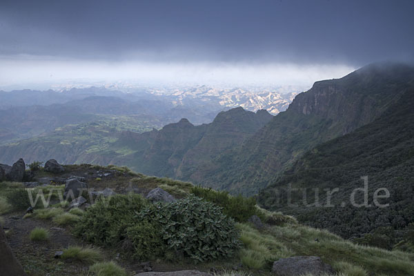 Aethiopien (Ethiopia)