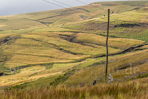 Aethiopien (Ethiopia)