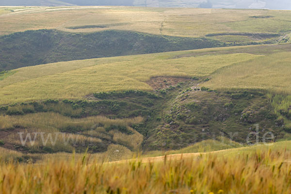 Aethiopien (Ethiopia)