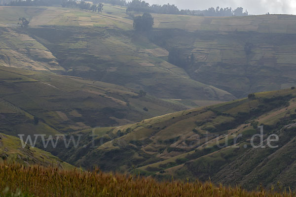 Aethiopien (Ethiopia)