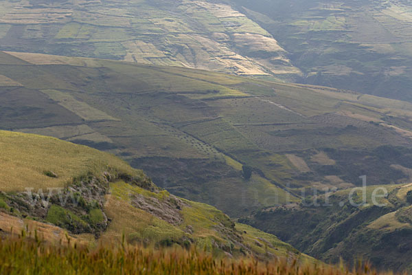 Aethiopien (Ethiopia)