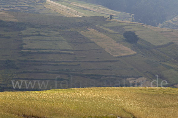 Aethiopien (Ethiopia)