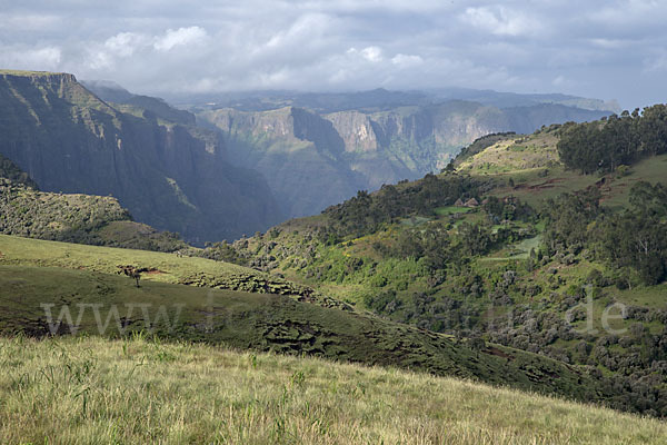 Aethiopien (Ethiopia)