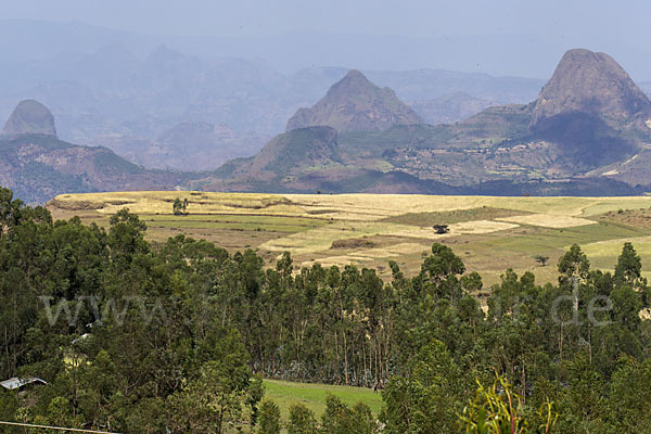 Aethiopien (Ethiopia)