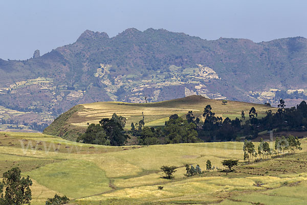 Aethiopien (Ethiopia)