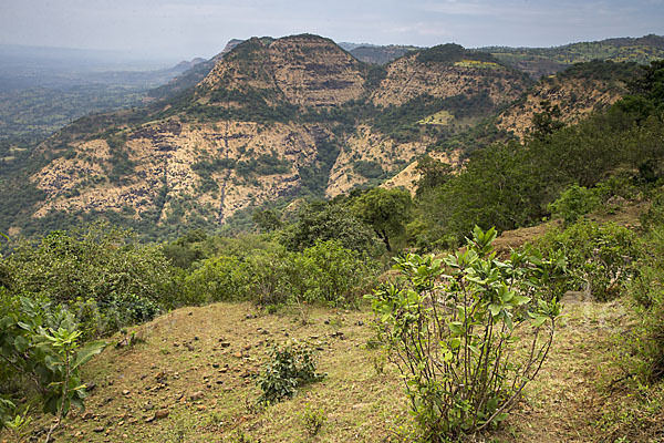 Aethiopien (Ethiopia)