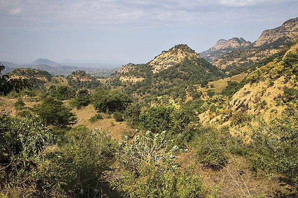 Aethiopien (Ethiopia)