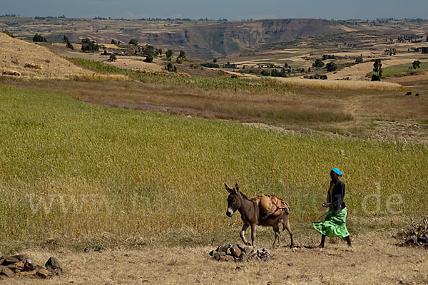 Aethiopien (Ethiopia)