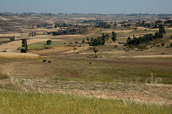 Aethiopien (Ethiopia)