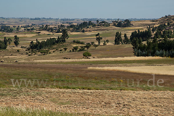 Aethiopien (Ethiopia)