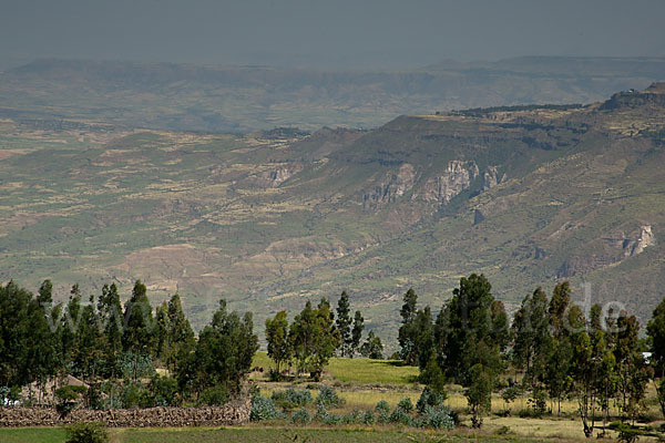 Aethiopien (Ethiopia)