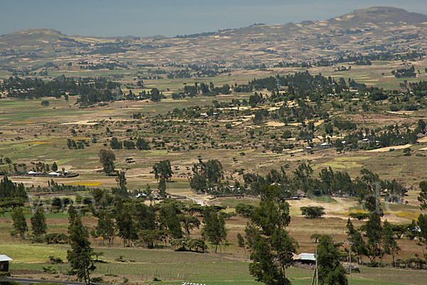 Aethiopien (Ethiopia)