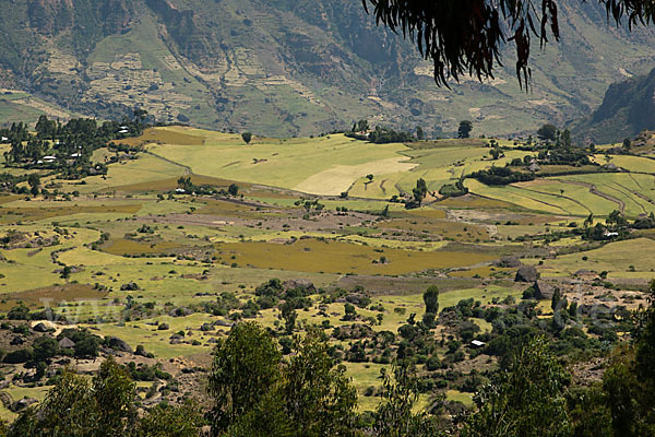 Aethiopien (Ethiopia)