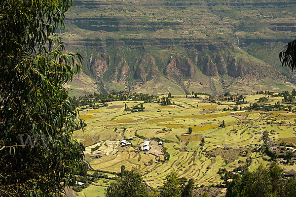 Aethiopien (Ethiopia)