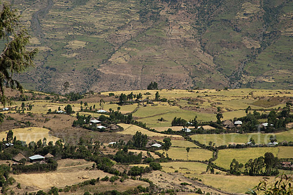 Aethiopien (Ethiopia)