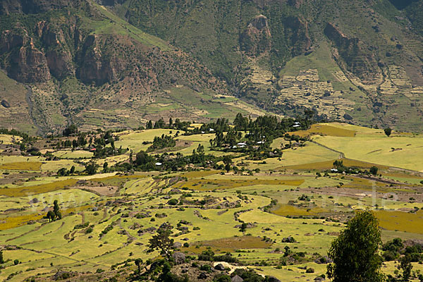 Aethiopien (Ethiopia)