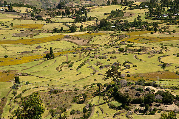 Aethiopien (Ethiopia)