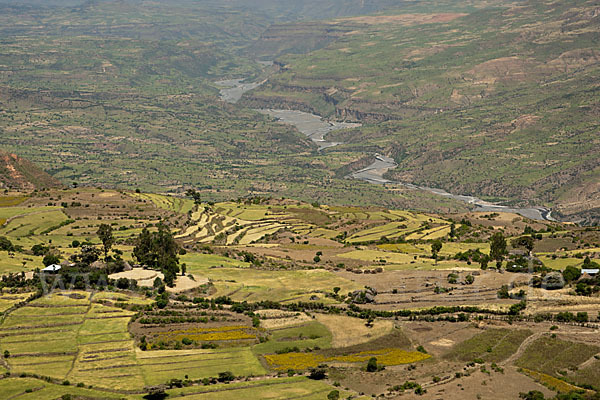 Aethiopien (Ethiopia)