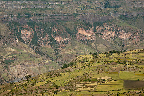 Aethiopien (Ethiopia)