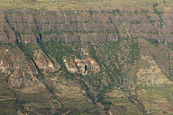 Aethiopien (Ethiopia)