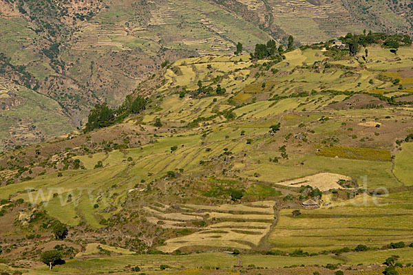 Aethiopien (Ethiopia)