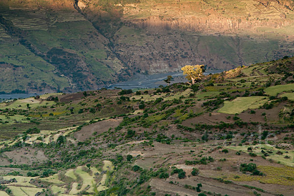 Aethiopien (Ethiopia)