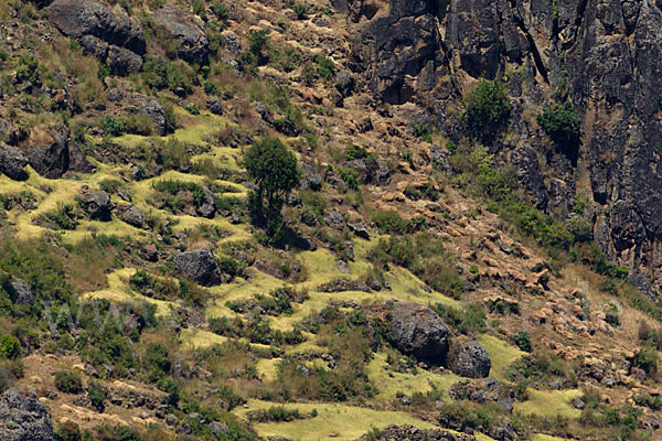 Aethiopien (Ethiopia)