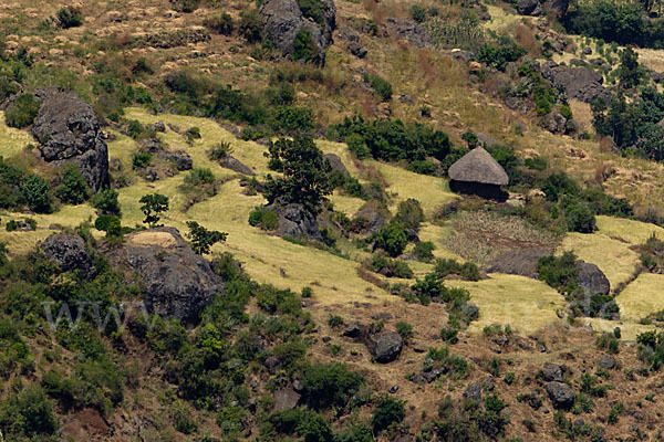 Aethiopien (Ethiopia)