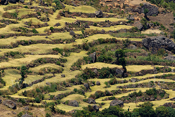 Aethiopien (Ethiopia)