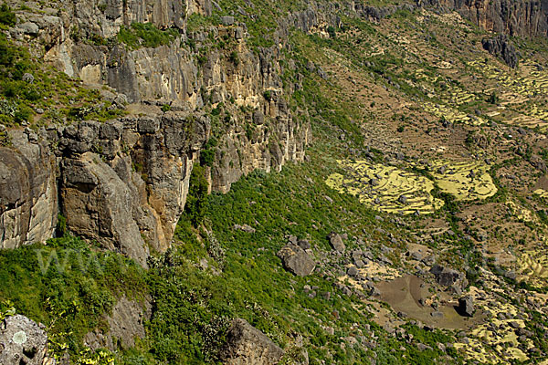 Aethiopien (Ethiopia)