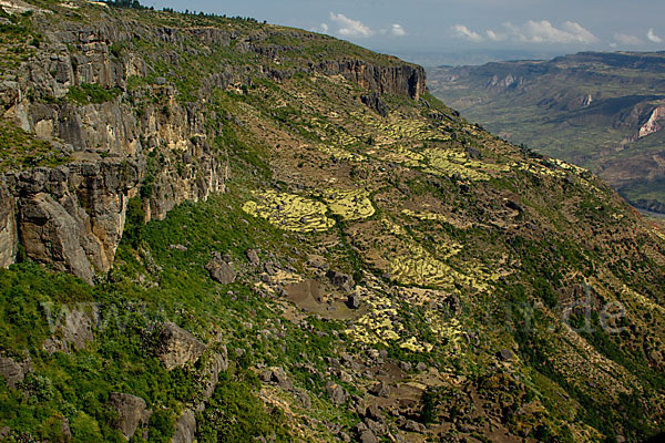 Aethiopien (Ethiopia)