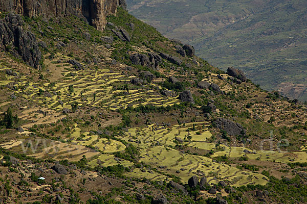 Aethiopien (Ethiopia)