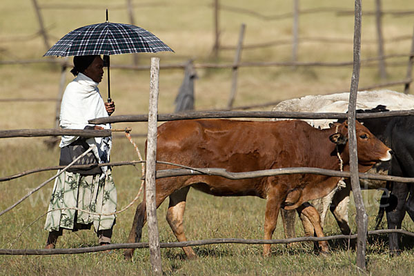 Aethiopien (Ethiopia)