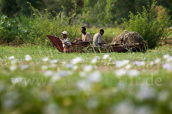 Aethiopien (Ethiopia)