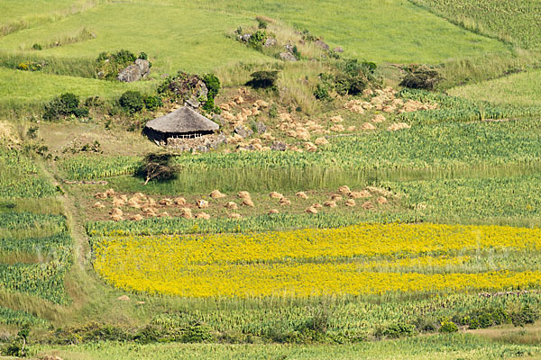 Aethiopien (Ethiopia)