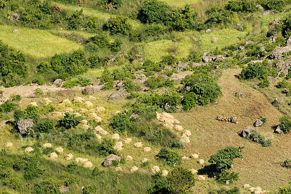 Aethiopien (Ethiopia)