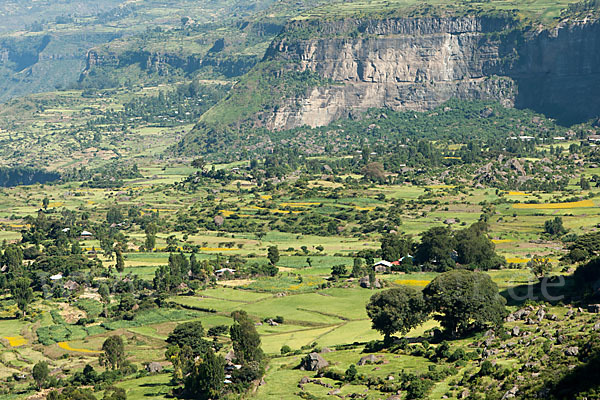 Aethiopien (Ethiopia)