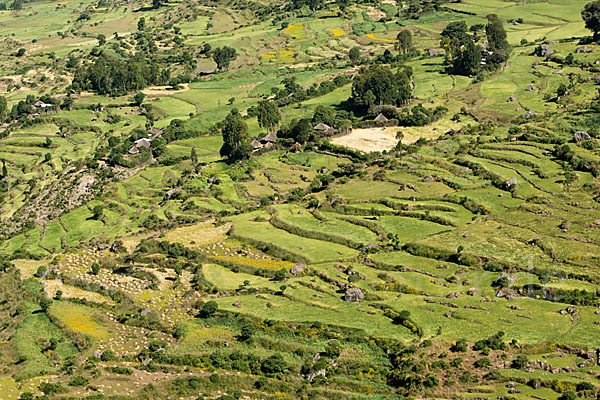 Aethiopien (Ethiopia)