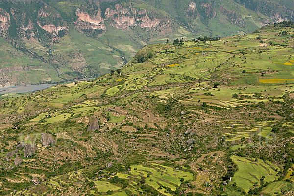 Aethiopien (Ethiopia)