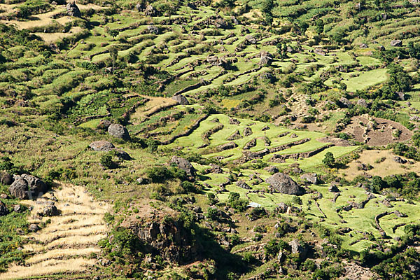 Aethiopien (Ethiopia)