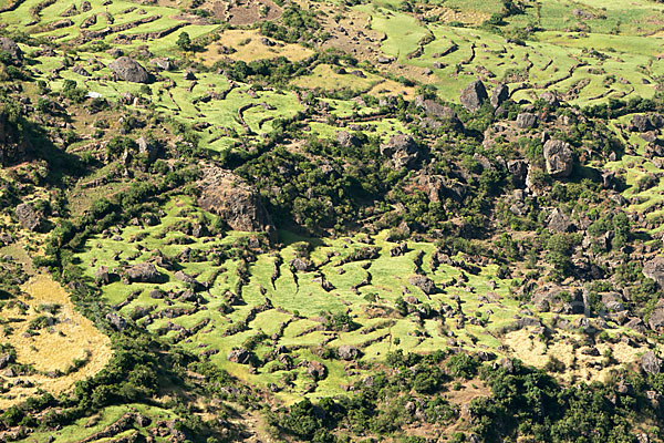 Aethiopien (Ethiopia)