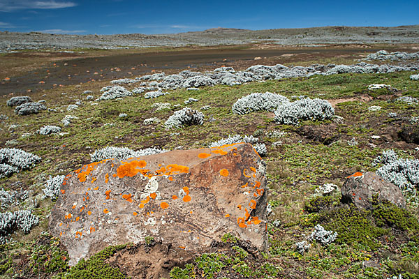 Aethiopien (Ethiopia)