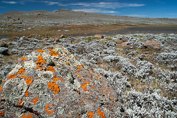 Aethiopien (Ethiopia)